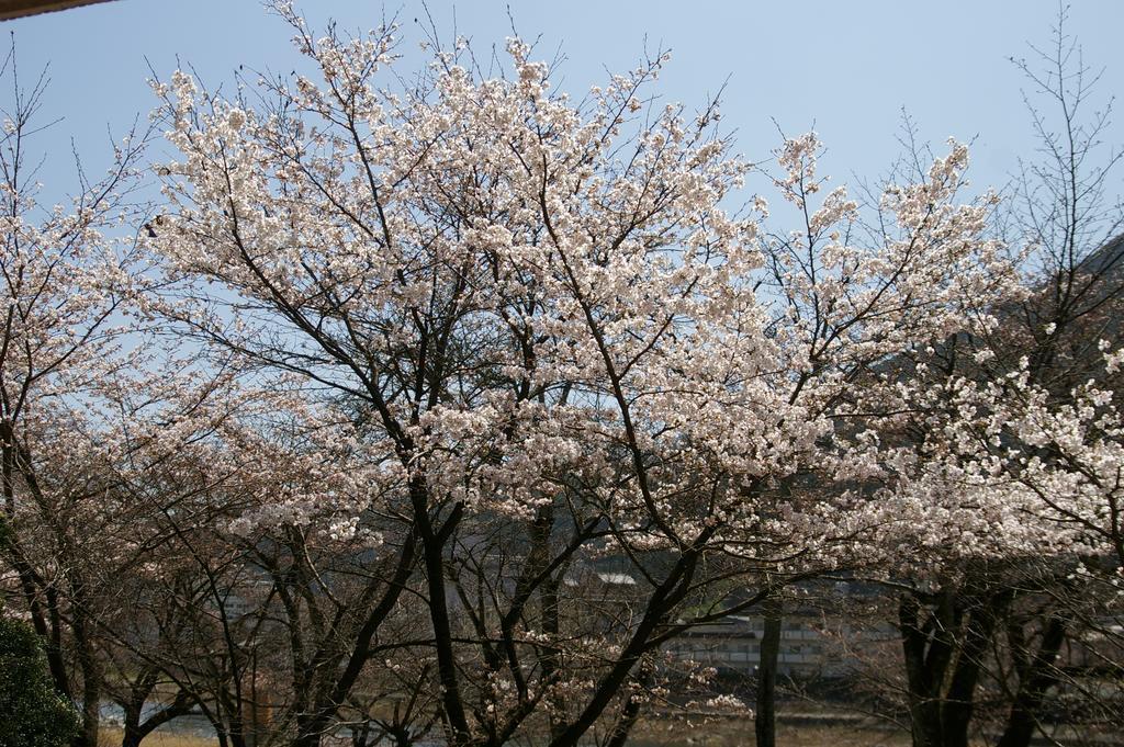 Ryokan Bosenkan Gero